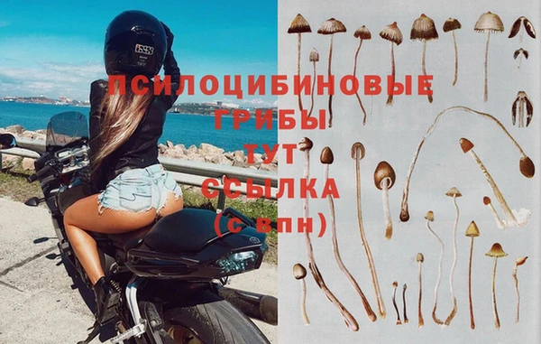 меф Заволжье